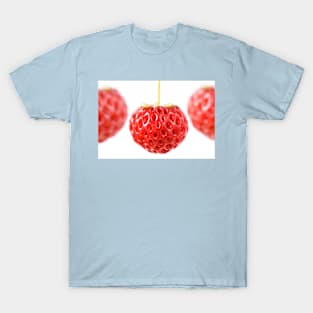 Fragaria x ananassa  &#39;Framberry&#39;  Strawberry T-Shirt